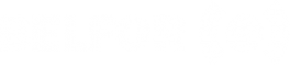 BELFOR Germany Logo